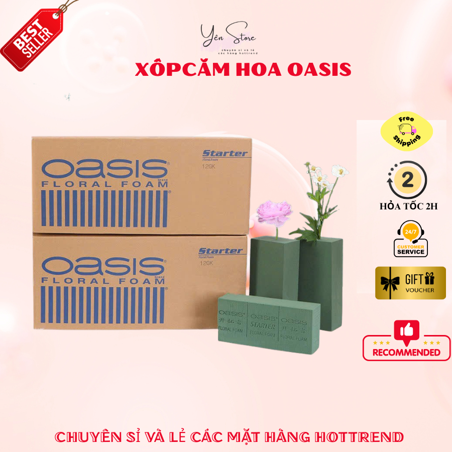 Combo 3-5-10 Viên Xốp Cắm Hoa Oasis Loại Tốt, Cắm Hoa Tươi, Hoa Khô Trang Trí Decor Diy YEN Store